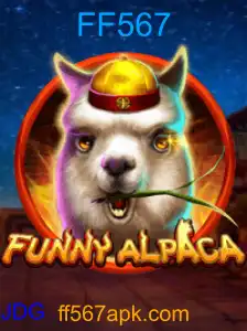 FunnyAlpaca